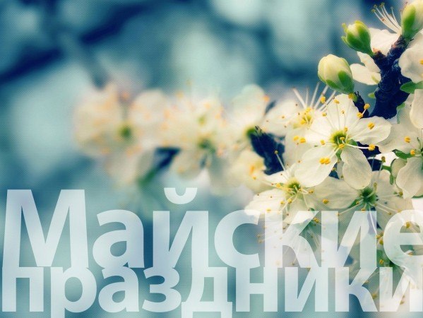 mai1.jpg