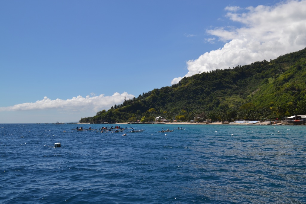 DSC_0301.JPG